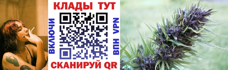 ГАШ Карачев
