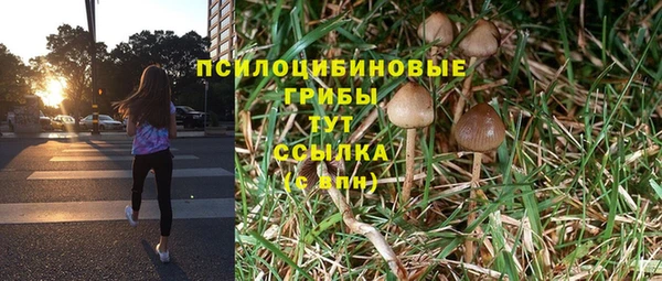 а пвп мука Армянск